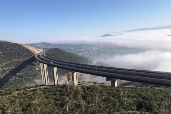 Nurdağı Marka Tescili